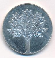 Izrael 1978. 50L Ag "A függetlenség 30. évfordulója" forgalomba nem került emlék kiadás T:...