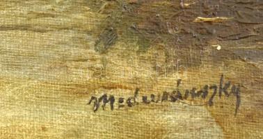 Mednyánszky jelzéssel: Táj. Olaj, vászon. Dekoratív, sérült fakeretben. 40x51,5 cm