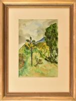 Jelzés nélkül: Hegyvidéki táj. Akvarell, papír. Dekoratív, üvegezett fakeretben. 29,5x21 cm