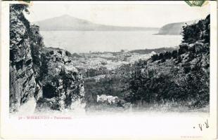 1903 Sorrento, Panorama