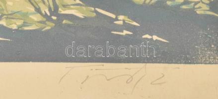 Török Endre (1926-1980): A Bodrog. Linómetszet, papír, jelzett. Számozott (100/94). Üvegezett, sérül...