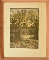 Keleti Jenő, ifj.(1943-): Őszi erdő. Linómetszet, papír, jelzett, üvegezett fakeretben, lap széle kissé foltos, 35×26 cm