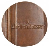 Kiss Nagy András (1930-1997) DN "Bessenyei György emlékérem / A közművelődésért" Br emléké...