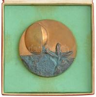 Kiss Nagy András (1930-1997) 1978. "Kertészeti Egyetem - Pest 1853 - Buda 1978 Pest - A civilis...