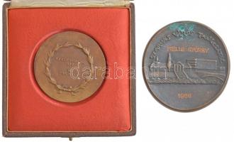 Madarassy Walter (1909-1994) 1986. "Szarvas Városért / Szarvas Város Tanácsától" öntött Br...