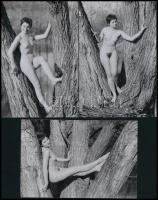 cca 1974 Öreg fának fiatal látogatója, szolidan erotikus felvételek, 3 db mai nagyítás, 15x10 cm