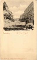Temesvár, Timisoara; Gyárváros, Andrássy út. Mangold Sándor kiadása / Fabric, square (EK)