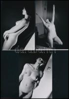 cca 1972 Alkalmi lehetőség, szolidan erotikus felvételek, 3 db mai nagyítás, 15x10 cm