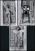 cca 1973 Egy régi nyaralás emlékei, szolidan erotikus felvételek, 3 db mai nagyítás, 10x15 cm