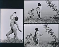 cca 1978 Szabadtéri huncutságok, szolidan erotikus felvételek, 3 db mai nagyítás, 10x15 cm