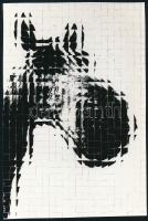 cca 1979 Nagy Sándor: Lóportré, pecséttel jelzett, vintage fotóművészeti alkotás, ezüst zselatinos fotópapíron, 20,3x13,5 cm