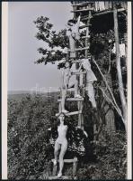 cca 1968 Szép kilátások, szolidan erotikus felvétel, 1 db mai nagyítás, 24x18 cm