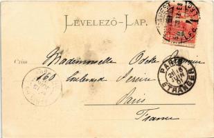 1901 Budapest, Lánchíd, látkép a királyi palotától (kis szakadás / small tear)