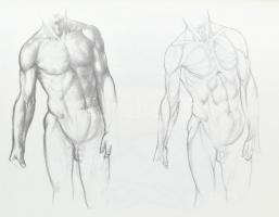 Barcsay Jenő: Művészet anatómiája. Barcsay Jenő (1900-1988) festőművész által DEDIKÁLT! Budapest, 19...