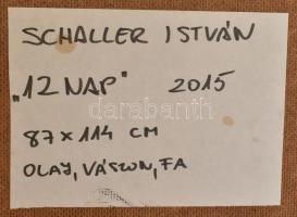 Schaller István (1970-): 12 nap, 2015. Olaj, vászon, fa. Jelezve jobbra lent és a hátoldalán. Fakere...