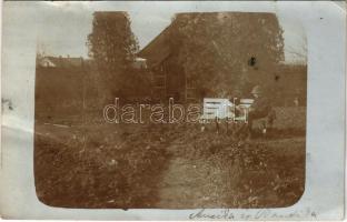 1916 Szekszárd, ház kertje. photo (EK)