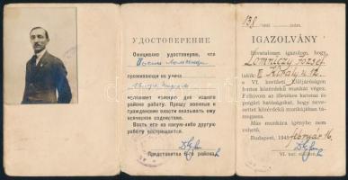 1941-1945 Vegyes igazolvány tétel, közte fényképesek, Vöröskereszt, Magyar Optikai Művek, Magyar Műv...