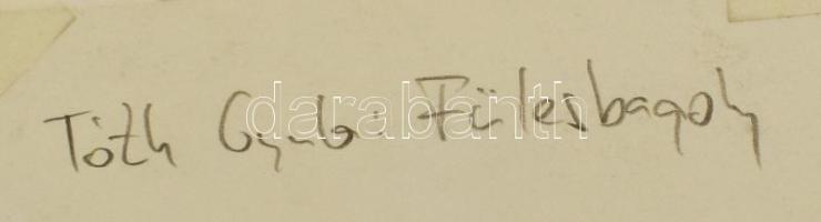 Tóth Gyula (1891-1970): Fülesbagoly. Ceruza, papír, jelzés nélkül, paszpartuban, 28×19,5 cm