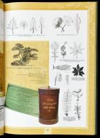 Képek a Kazay lexiconhoz. Galenus Kiadó, Bp. 2006. Kiadói kartonált kötésben, papírborítóval