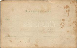 1898 (Vorläufer) Déva, vár / castle. photo (EK)