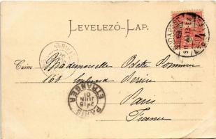 1901 Budapest XIV. Városligeti tó (szakadás / tear)