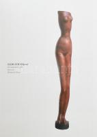 Ioana Vlasiu, Székely Sebestyén György: Boema. Fiatal kolozsvári művészet a két világháború között. ...