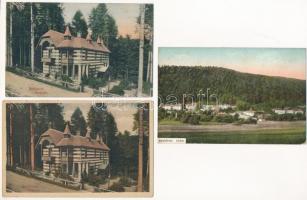 Bártfafürdő, Bardejovské Kúpele, Bardiov, Bardejov; 5 db régi képeslap / 5 pre-1945 postcards