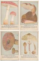 Magyar gombáskönyvek és képek. Szemere László szerkesztése - 26 db régi képeslap sorozatban / Hungarian mushrooms - 26 pre-1945 postcards