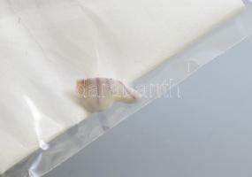 Würtwnbwrgi figurális váza, kézzel festett porcelán, jelzett, egy szirom letört, de megvan a darabja...