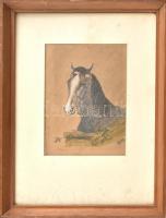 W.M. jelzéssel: Ló. Akvarell, papír, üvegezett keretben, 17x11cm