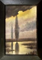 Mészáros Jenő (1883-?): Vízparti fények. Olaj, vászon. Jelezve jobbra lent (keret által kissé takarva). Dekoratív, kissé sérült fakeretben, 43,5×28 cm