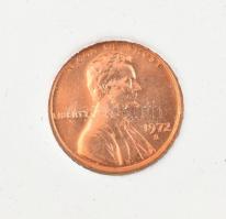 Amerikai Egyesült Államok 19xklf érméből álló szett, mindegyik darab "International Numismatic ...