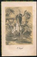 [Méry, Joseph (1797-1866)]: Méry: A Nizam harca. Regény. Francziából fordítá Rosos Klementin. Pest, ...