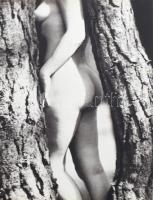 Aktalbum. Az előszót írta: Féjja Sándor. Bp., 1984, Corvina. Gazdag képanyaggal, művészi aktfotókkal...