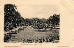 Lacu Sarat, Gradina publica / park, garden (non PC) (EK)