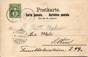 1900 Meiringen, Brünigbahn / general view, railway line, train (EK)