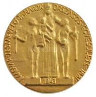DN Magyar Testnevelő Tanárok Országos Egyesülete - 1943 egyoldalas, aranyozott Br emlékérem tokban (58mm) T:1-,2
