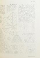 A M. Kir. Központi Szőlészeti Kisérleti Állomás és Ampelologiai Intézet Közleményei. IV. köt. Szerk....