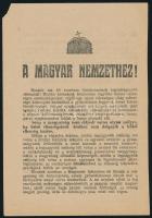 1920 Bp., A Magyar Királyság Pártjának röplapja