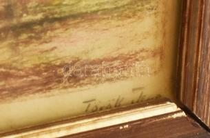 Török Jenő (1880 - 1957): Színes táj. Kréta, papír, jelzett. Üvegezett fakeretben, sérült üveggel. 7...