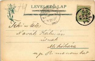 1906 Matlárháza, Matliary, Tatranské Matliare (Magas-Tátra, Vysoké Tatry); nyaralók. Feitzinger Ede ...