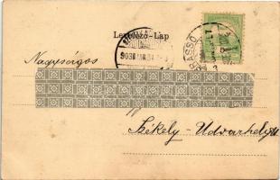 1903 Brassó, Kronstadt, Brasov; Fő tér, piac, hintók, Fekete templom, Albina, Heinrich Wagner, J. L....