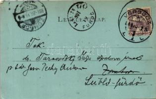 1901 Versec, Werschetz, Vrsac; Városház utca télen. Wilhelm Wettl kiadása / Rathausgasse / street vi...