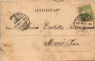 1902 Esztergom, Bazilika. Kardos Dezső kiadása (fl)