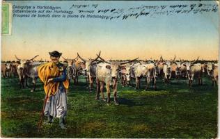 1912 Hortobágy, Ökörgulya, magyar folklór (EK)