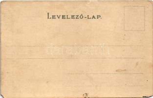 Budapest II. Szent Lukács fürdő, Nymphea Thermalis tó. litho s: H.W. (EM)