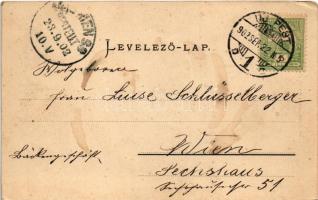 1902 Budapest XIII. Vígszínház. Ganz Antal 98. (fl)