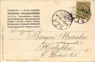 1905 Flowers. Schles. Lichtdr.-Anst. Breslau II. (Tivoli) No. 57. (fl)