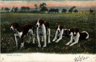 1905 Ready for Sport Raphael Tuck & Sons Animal Life Series 1425. (EB)