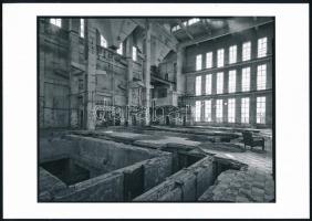 [Lugosi Lugo László (1953-2021)]: Lazlo Lugosi: Narcissus Revisited. Pauker Collection 32. Bp., 2017...